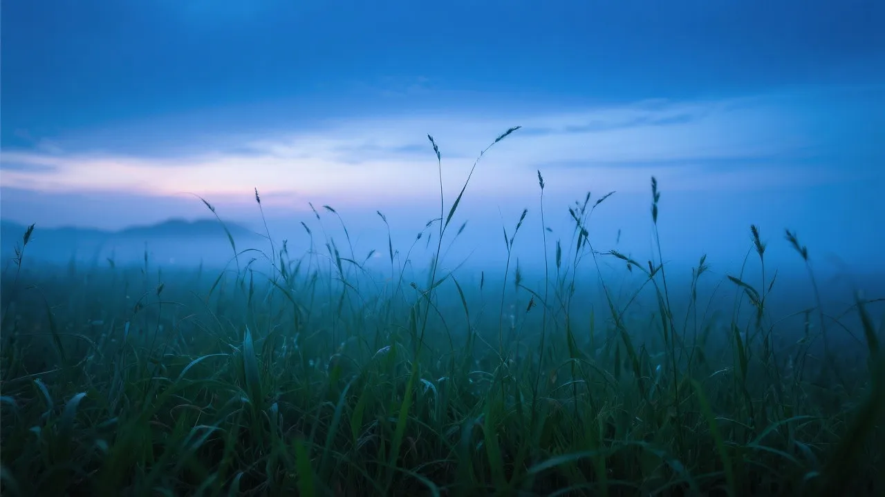 Unveiling the Mysteries of Zanc Poa