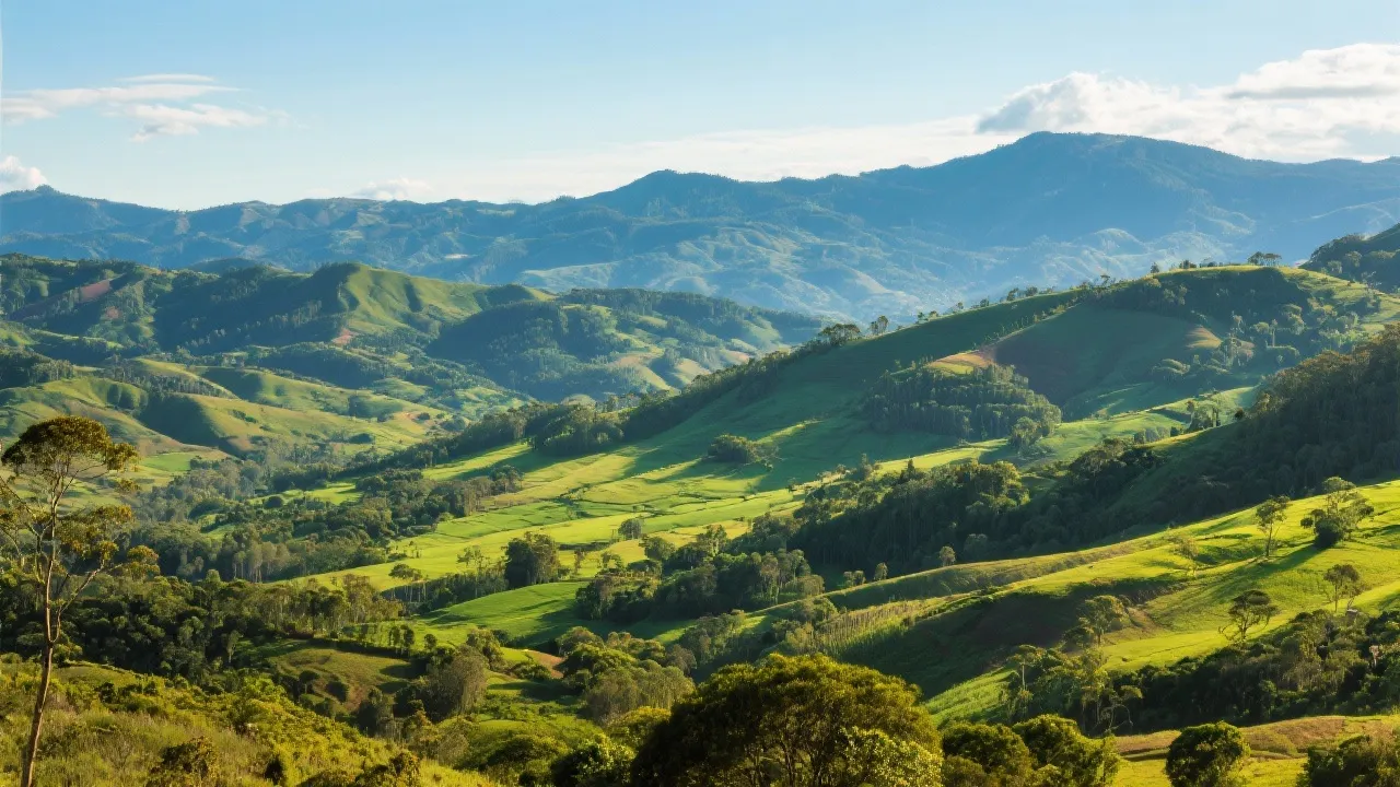 Understanding DPVAT in Minas Gerais